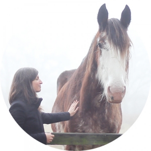 hypnose nantes gaelle lasne cheval equitation